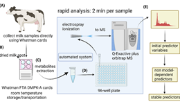 Research Bite Two: Can we predict lameness in dairy cows using metabolomics? 